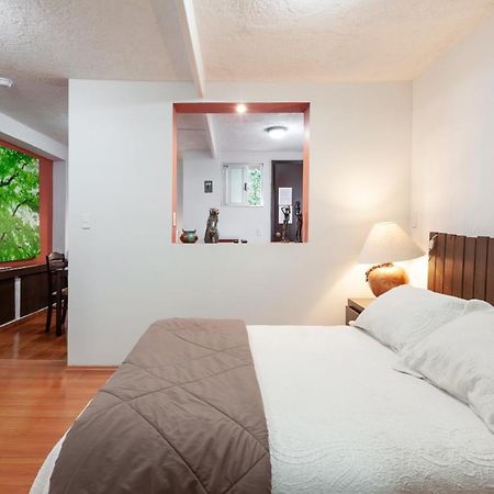 Suite 5A, Altavista, Garden House, Welcome To San Angel Мехіко Екстер'єр фото