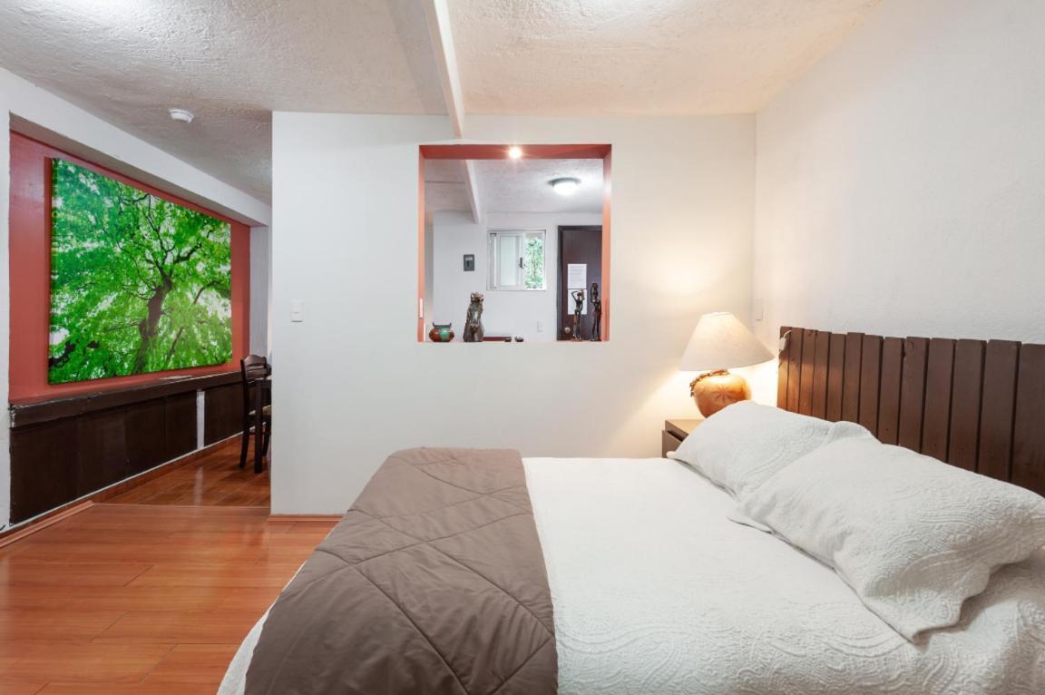 Suite 5A, Altavista, Garden House, Welcome To San Angel Мехіко Екстер'єр фото
