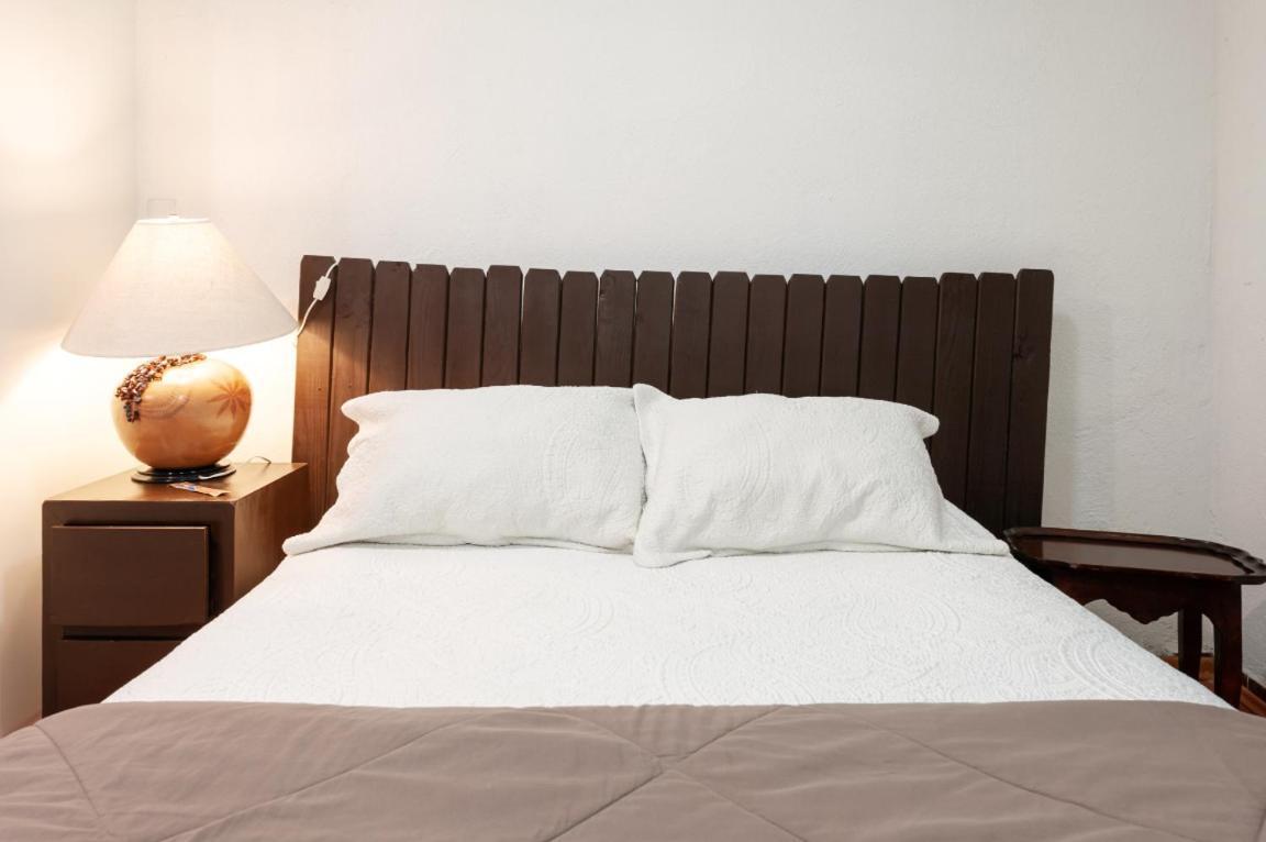 Suite 5A, Altavista, Garden House, Welcome To San Angel Мехіко Екстер'єр фото