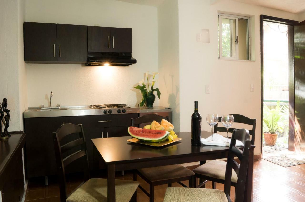 Suite 5A, Altavista, Garden House, Welcome To San Angel Мехіко Екстер'єр фото