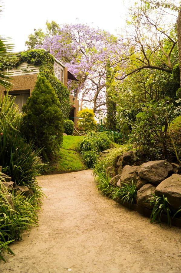 Suite 5A, Altavista, Garden House, Welcome To San Angel Мехіко Екстер'єр фото